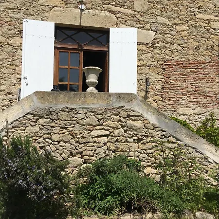 Halkertoun فيلة *